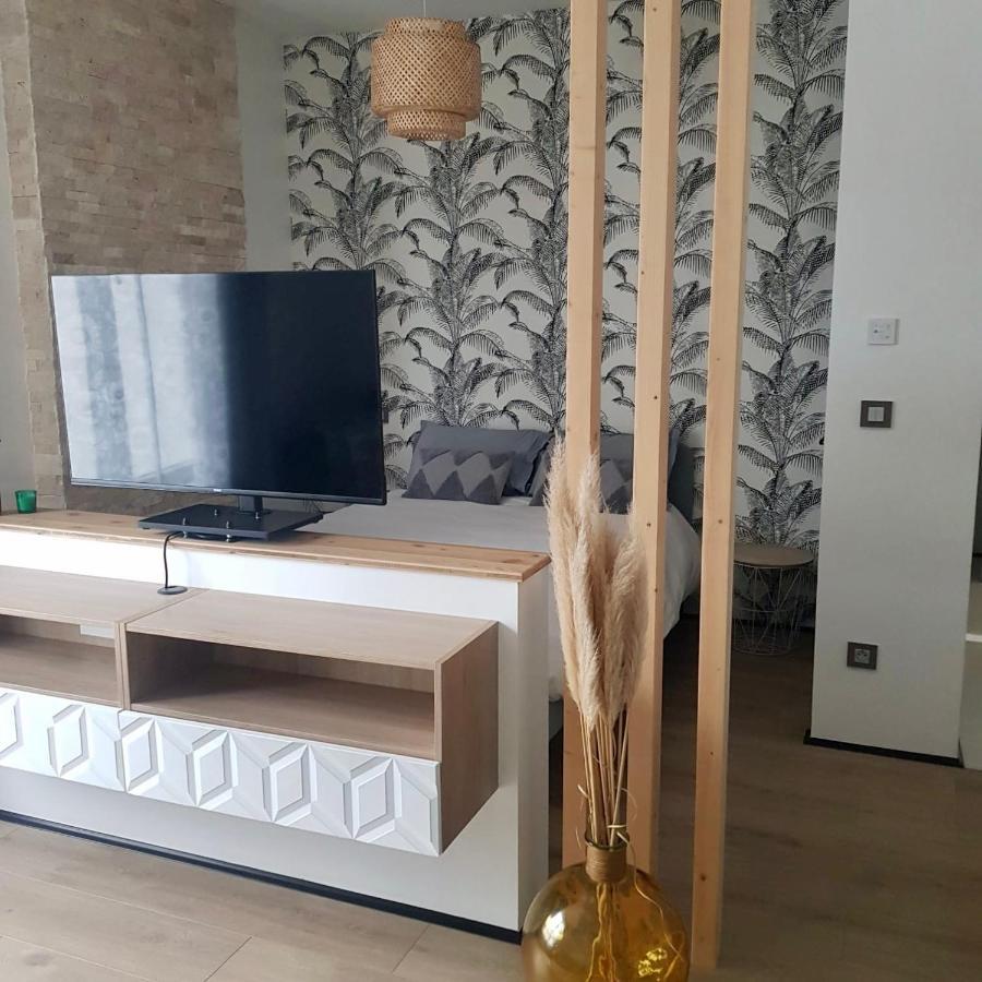 Studio Calme-Equipements Haut De Gamme Sarreguemines Exterior photo
